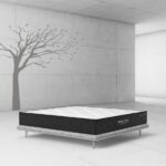 Spine Tonic mattress